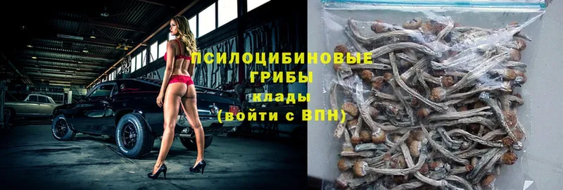 Купить наркотики цена Новомичуринск МДМА  Мефедрон  Cocaine  ГАШ  Канабис 